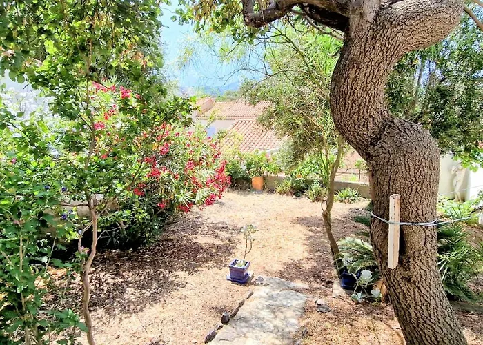 T3 Avec Jardin A Banyuls, Parking Inclus - Fr-1-309-35 * Banyuls-sur-Mer